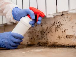 Best Forensic Mold Investigation  in Rocky Top, TN